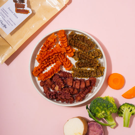 Small Treat, Big Benefits: How Pawer Bites Support Everyday Pet Wellness